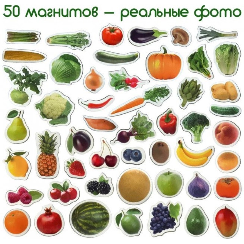 Набір магнітів Magdum "Фрукти і овочі" ML4031-15 EN