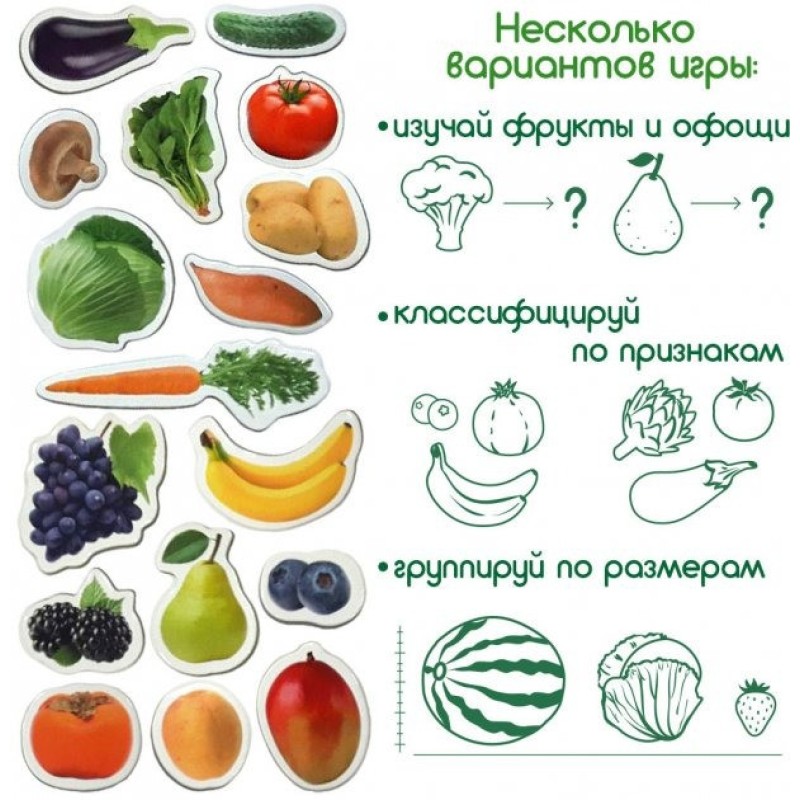 Набір магнітів Magdum "Фрукти і овочі" ML4031-15 EN