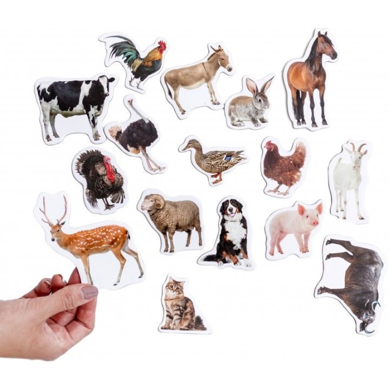 Набір магнітів Magdum "Ферма реалістичні" ML4031-04 EN