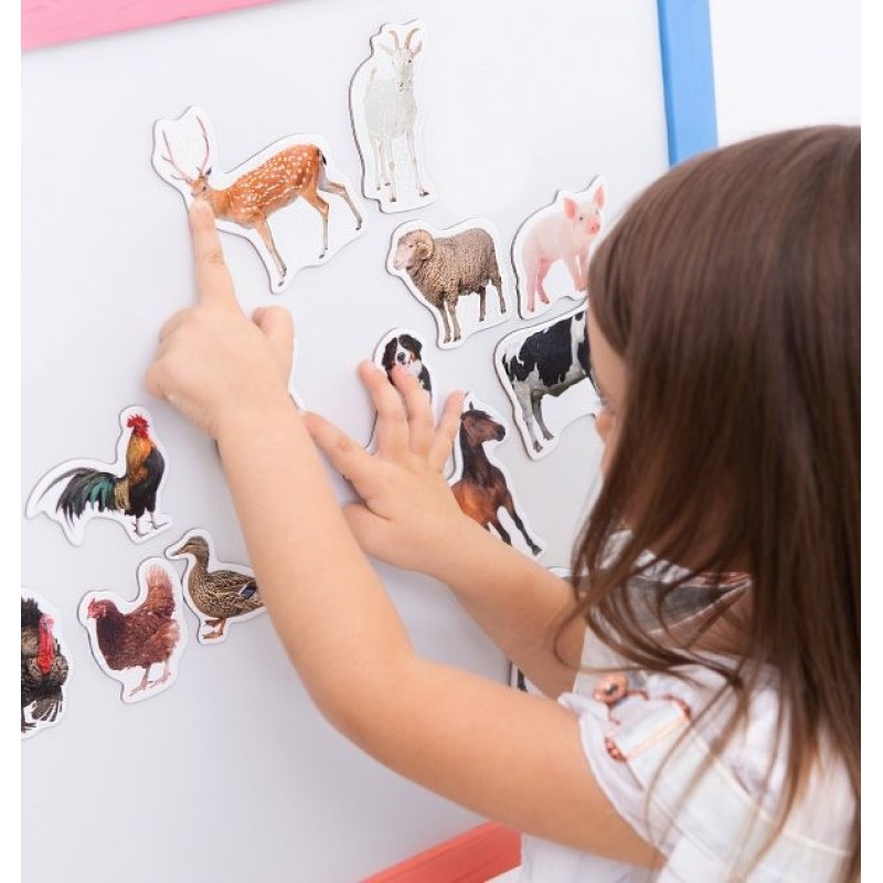 Набір магнітів Magdum "Ферма реалістичні" ML4031-04 EN