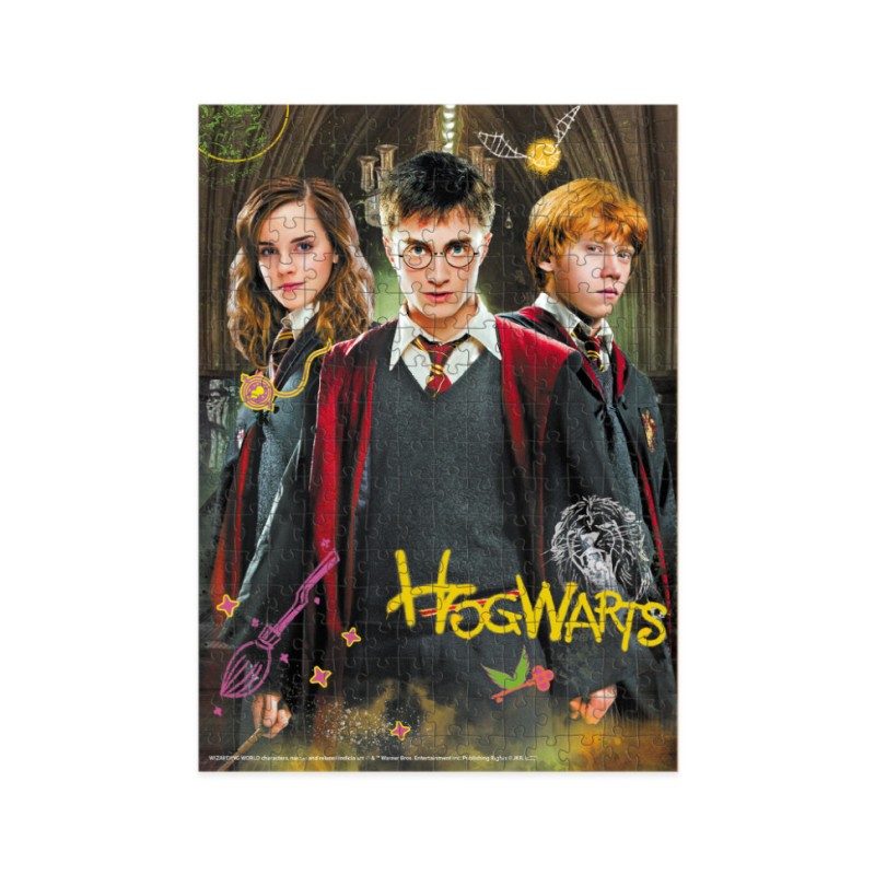 Пазл класичний "Harry Potter. Гаррі та друзі" 200498, 250 елементів