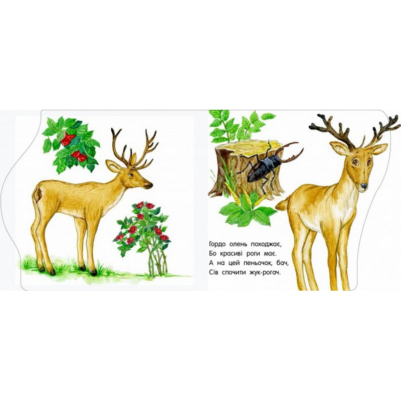 Дитяча книжечка "Перші кроки : У зоопарку" 410012 українською мовою