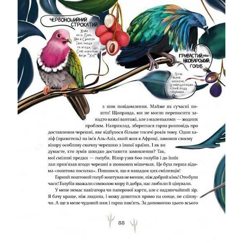 Дитяча книга "Такі, як ми. Про тварин та їхні характери" 253615