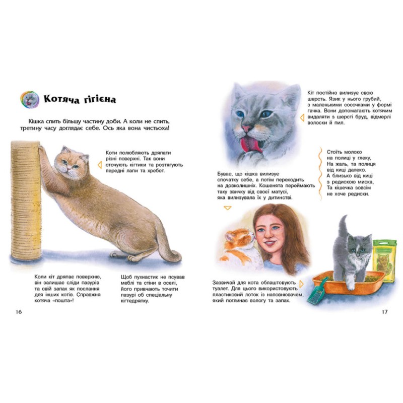 Енциклопедія дошкільника "Коти" 614039 для найменших