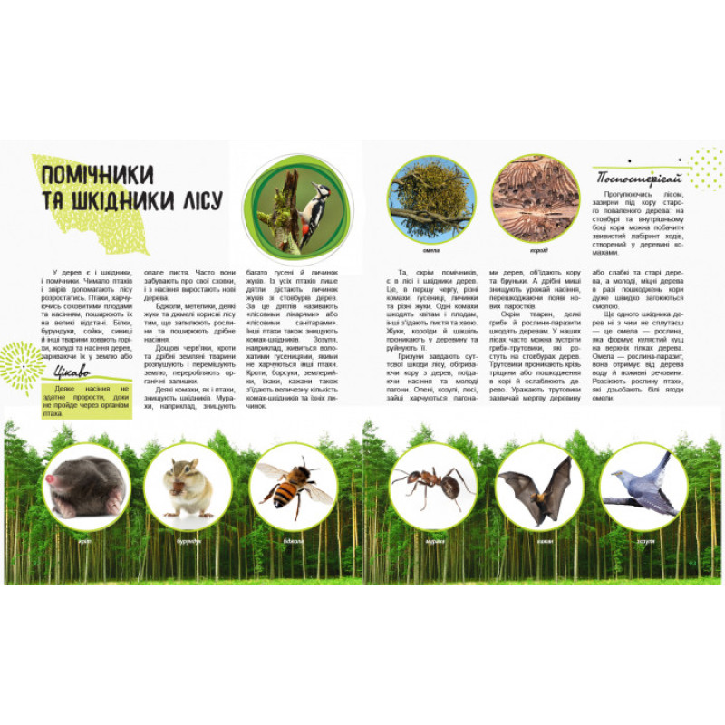 Дитяча книга " Світ і його таємниці: Життя лісу" 740002 укр. мовою