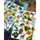 Гра з багаторазовими наклейками "Життя на землі" Умняшка KP-009