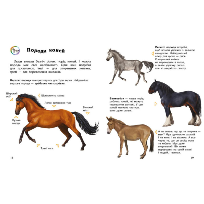 Енциклопедія дошкільника Коні 614037 для найменших