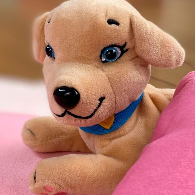 М'яка колекційна іграшка Собачка Мама Ретривер #sbabam 67/CN-2020-3 з сюрпризом