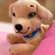 М'яка колекційна іграшка Собачка Мама Ретривер #sbabam 67/CN-2020-3 з сюрпризом