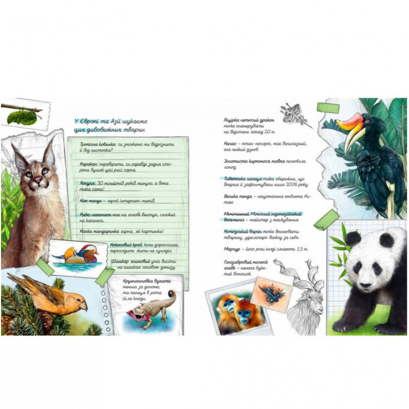 Книга "Експедиція за дивовижними тваринами" 152961