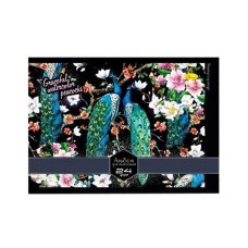 Альбом для малювання АМ-ГП-120-24 на спіралі Павичі