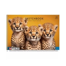 Альбом для малювання PB-SC-020-574-2 спіраль, 20 аркушів