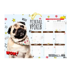 Ламінований розклад уроків АП-0802 формат А3  Вид 4