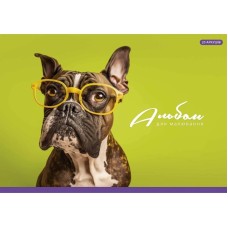 Альбом для малювання PB-GB-020-465-1 склейка 20 акрушів