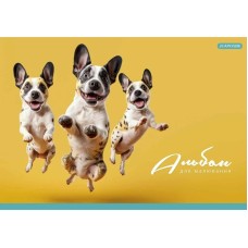 Альбом для малювання PB-GB-020-465-2 склейка 20 акрушів