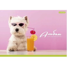 Альбом для малювання PB-GB-020-465-3 склейка 20 акрушів