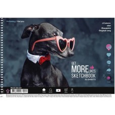 Альбом для малювання PB-SC-020-451-1 спіраль 20 аркушів