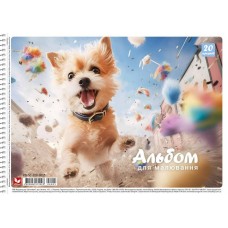 Альбом для малювання PB-SC-020-8005-1 спіраль 20 аркушів