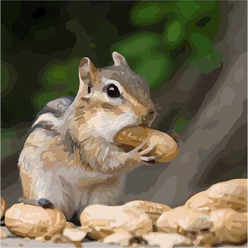 Картина за номерами. Art Craft "Крихітка бурундук" 40 * 40 см 11610-AC