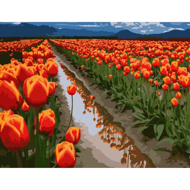 Картина за номерами. Art Craft "Поля в Голландії" 40 * 50 см 10524-AC