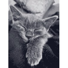 Картина за номерами. Art Craft "Котяча подяка" 40 * 50 см 11612-AC