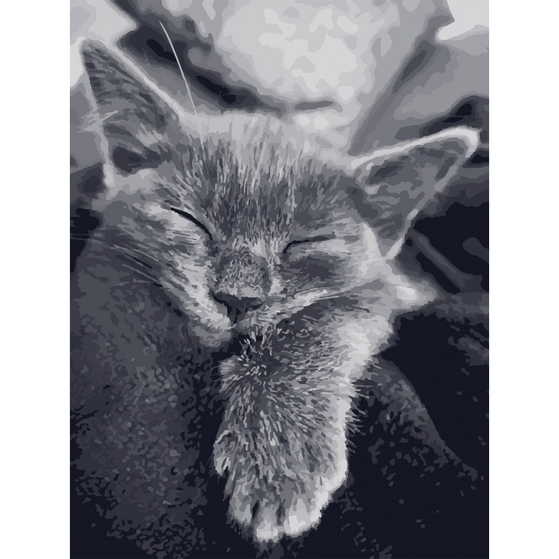 Картина за номерами. Art Craft "Котяча подяка" 40 * 50 см 11612-AC