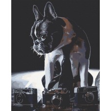 Картина за номерами. Art Craft Сором'язливий фотограф 40х50 см 11642-AC