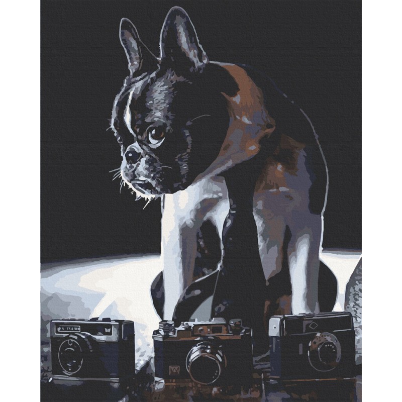 Картина за номерами. Art Craft Сором'язливий фотограф 40х50 см 11642-AC