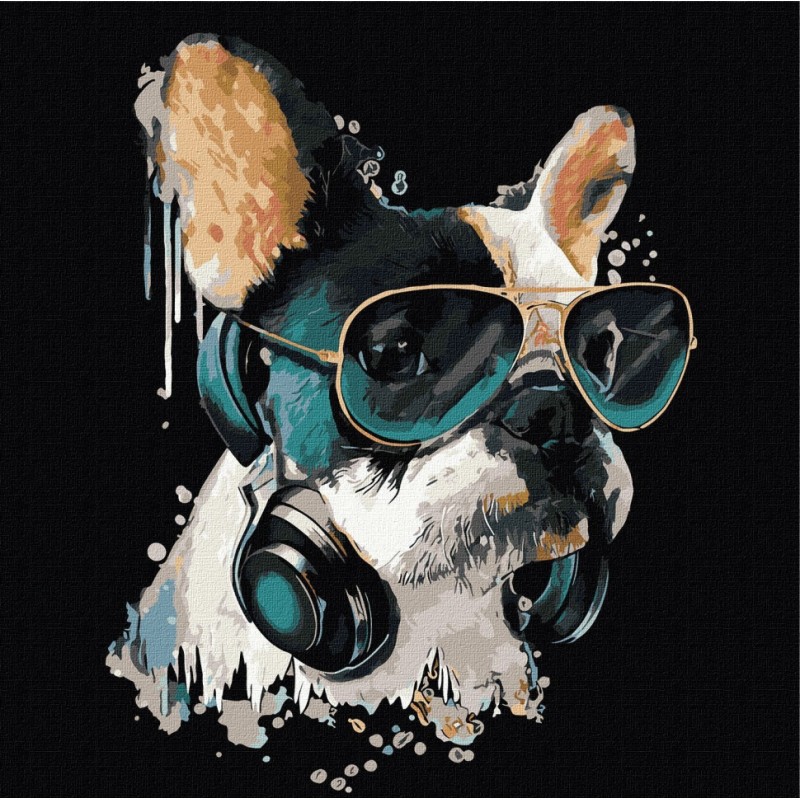 Картина за номерами "Пухнастий діджей" Ідейка KHO4309 40х40 см