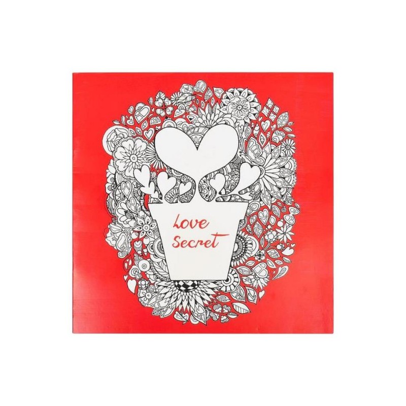 Розмальовка антистрес "Love Secret" COLOR-IT GDM-005, 12 аркушів