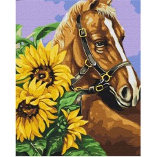 Картина по номерам "Скакун в подсолнечниках" Brushme BS52898 40х50 см