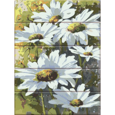 Картина по номерам по дереву "Ромашки" ASW005 30х40 см