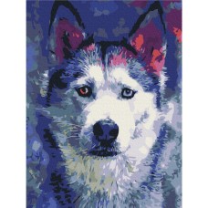 Картина по номерам "Взгляд Хаски" Brushme RBS51460 30x40 см