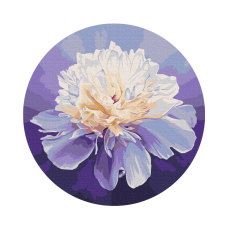 Картина по номерам "Нежный пион" © Anna Steshenko Brushme RC00074M 30 см