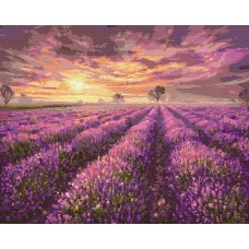 Картина по номерам. Brushme "Лавандовое мероприятие" GX3230, 40х50 см