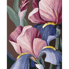 Картина по номерам "Петушки" © Yana Biluhina Brushme BS53760 40x50 см