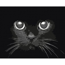 Картина по номерам "Взгляд ночи" BS52234, 40x50 см