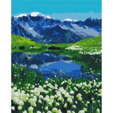 Картина по номерам "Альпийские луга" BS39458, 40x50 см