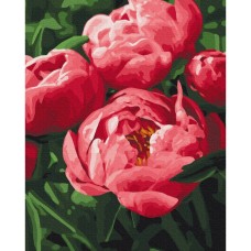 Картина по номерам "Насыщенный цвет пион" BS51711, 40x50 см