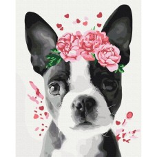 Картина по номерам "Бостон терьер в веночке" BS26782, 40x50 см