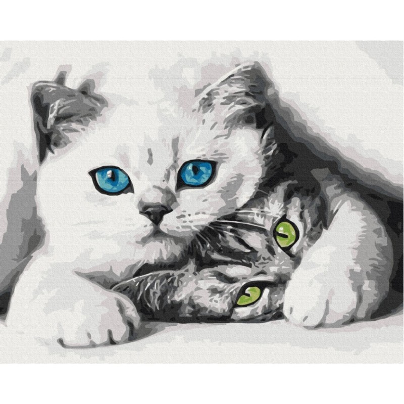 Картина за номерами "Муркотики" BS51695, 40x50 см