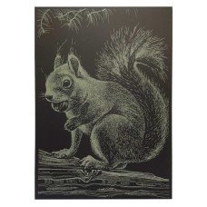 Гравюра А4 "Білка" ГрА4-1з економ варіант в пакеті 29,7х21 см