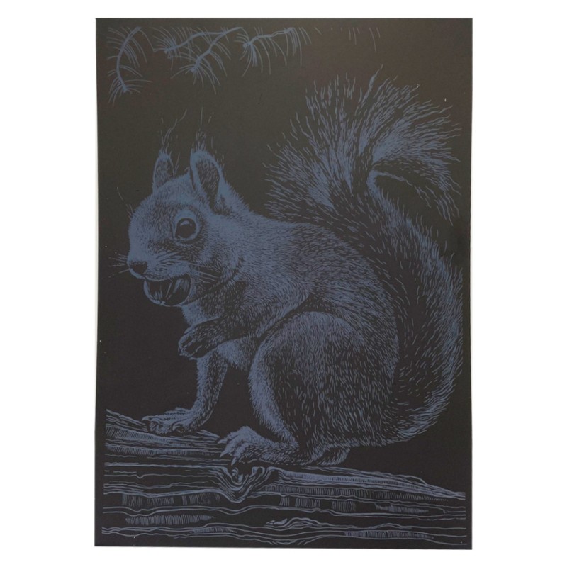 Гравюра А4 "Білка" ГрА4-1с економ варіант в пакеті 29,7х21 см