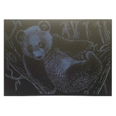 Гравюра А4 "Ведмідь" ГрА4-17с економ варіант в пакеті 29,7х21 см
