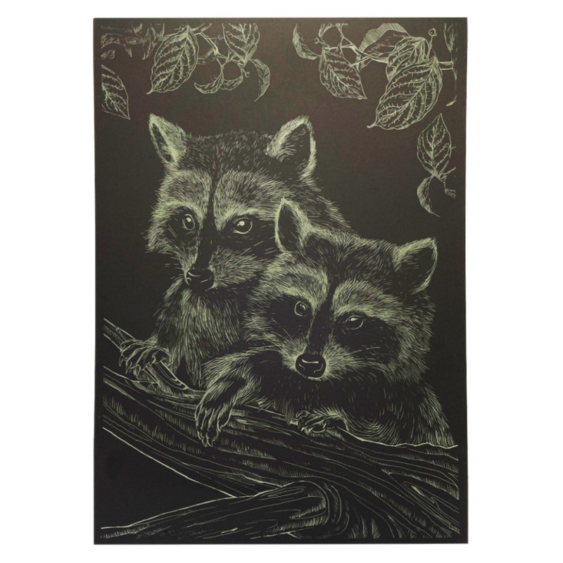 Гравюра А4 "Єнот" ГрА4-16з економ варіант в пакеті 29,7х21 см