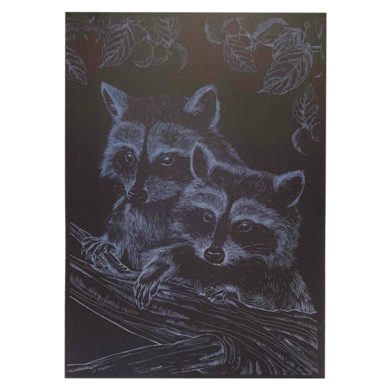 Гравюра А4 "Єнот" ГрА4-16с економ варіант в пакеті 29,7х21 см