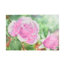 Алмазная мозаика "Нежность розовых роз" YAB14430 10х15 см