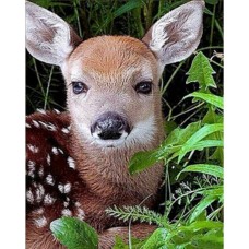 Алмазная мозаика "Детская косуля" HEG86027 30х40 см