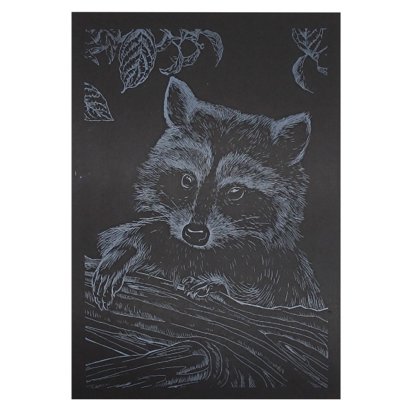 Гравюра А5 "Єнот" ГрА5с-24 економ варіант у пакеті 21 х 14,8 см