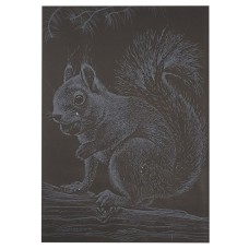 Гравюра А5 "Білочка" ГрА5с-22 економ варіант у пакеті 21 х 14,8 см